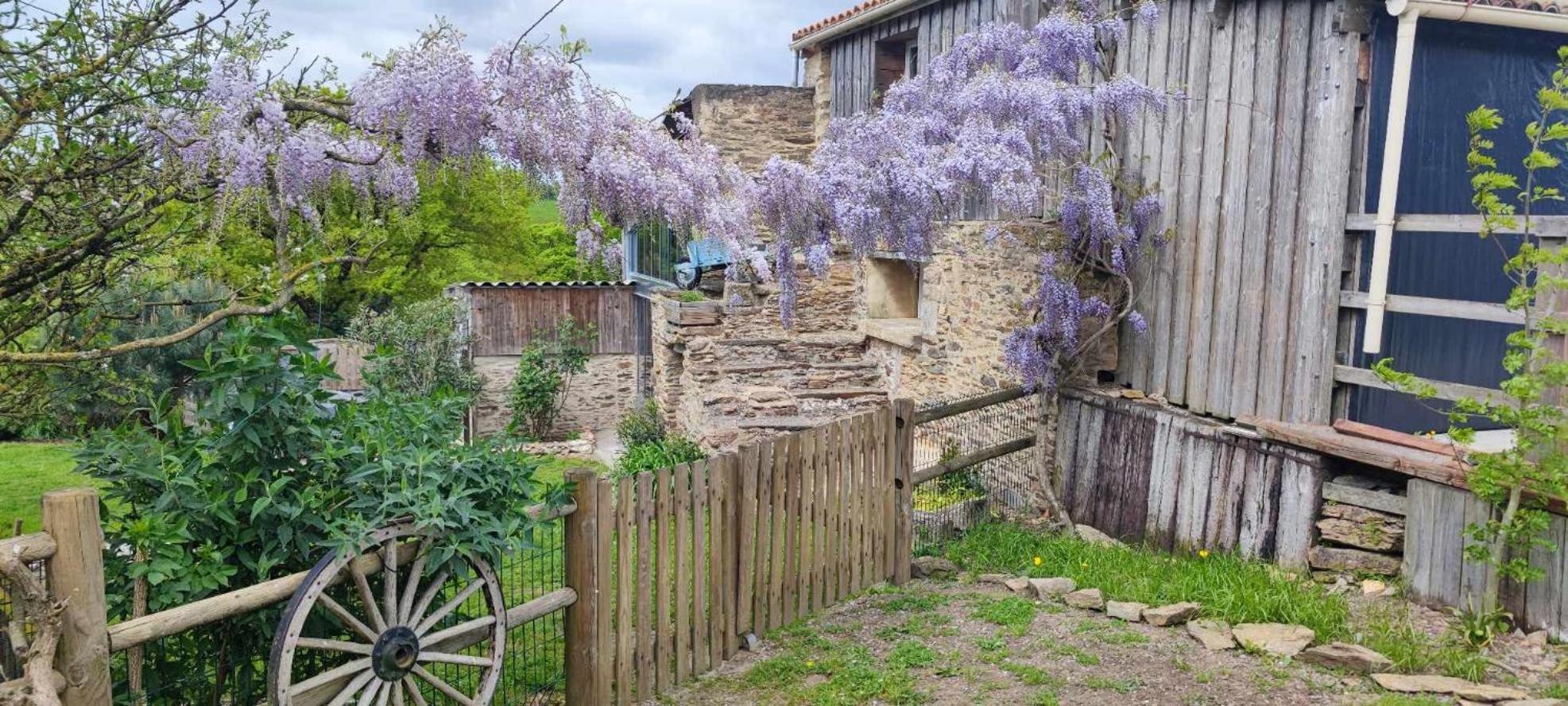 Aux Yourtes de La Fabrique Saint-Florent-des-Bois Extérieur photo